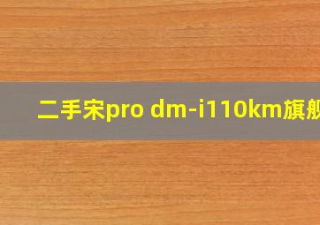 二手宋pro dm-i110km旗舰版